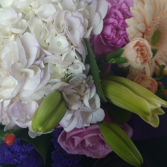 Meet your Posher, Thriftstocker - Picture 3 of 3